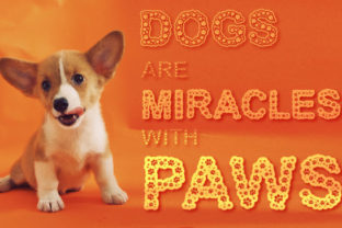 Dog Paws Font: A Playful Addition to Your Creative Projects