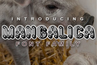 Mangalica Font